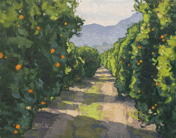“Citrus Path” by Dan Schultz