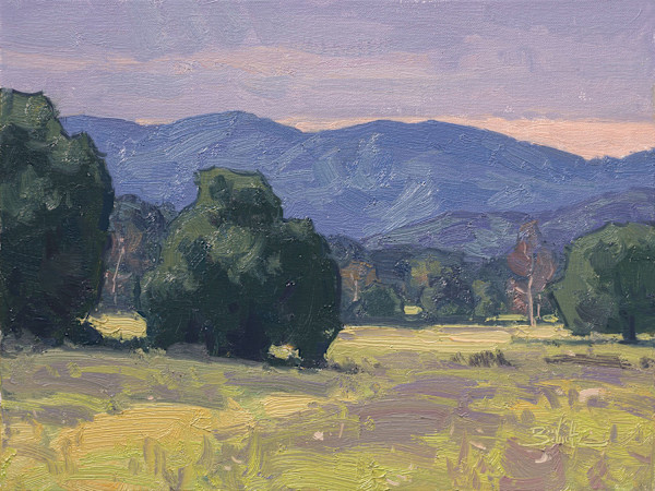 "Clouded Preserve" by Dan Schultz, Image 1.