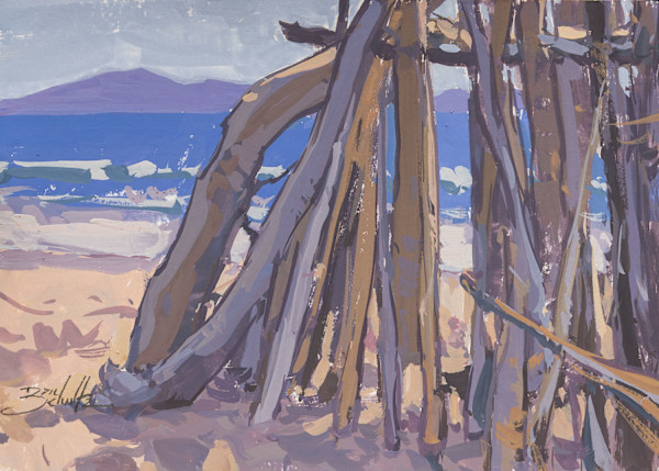 "Driftwood Structure" by Dan Schultz, Image 1.