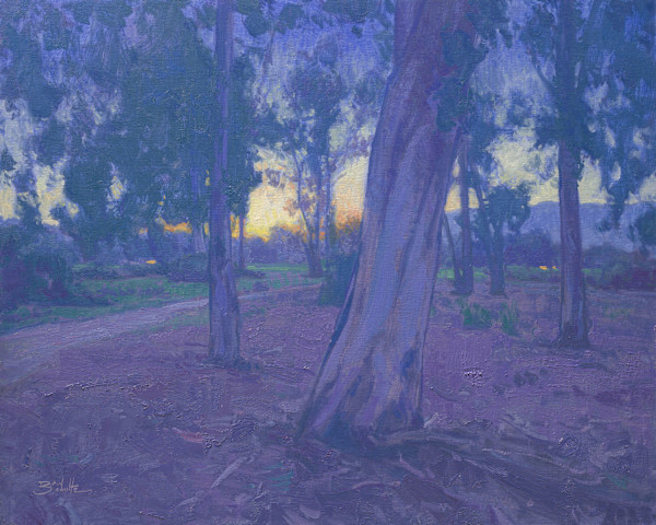 "Eucalyptus Twilight" by Dan Schultz