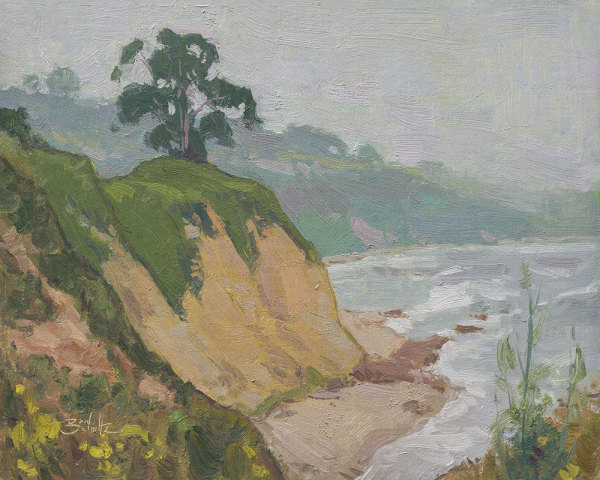 "Foggy Coastline" by Dan Schultz Fine Art