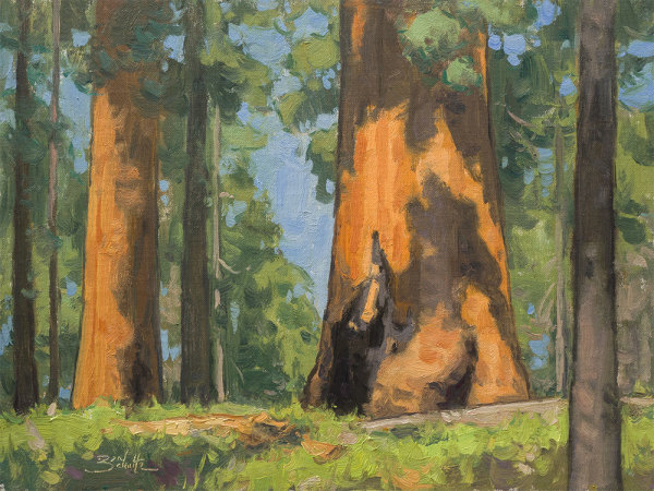 "Giant Sequioas" (Sequoia National Park) by Dan Schultz Fine Art