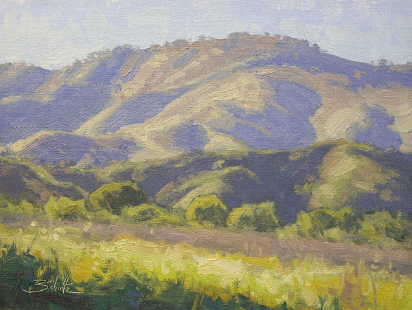 “Spring Shadows” by Dan Schultz