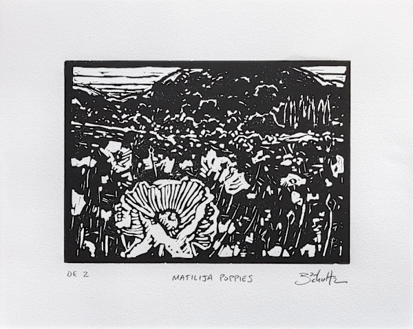 "Matilija Poppies" #2 by Dan Schultz