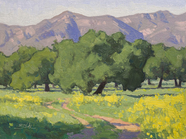 "Oaks and Mustard" by Dan Schultz