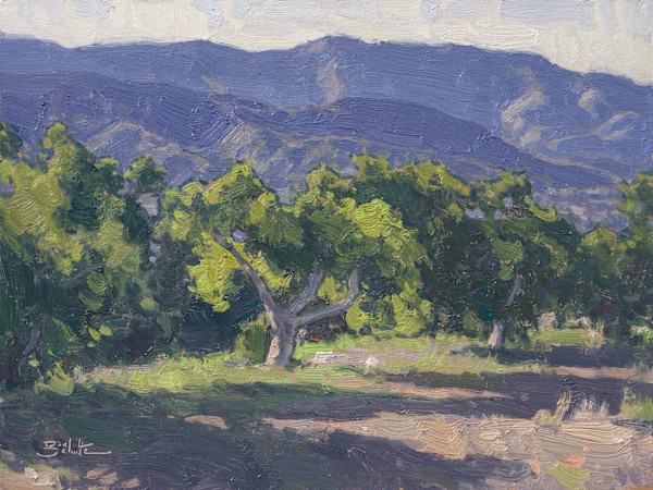 "Ojai Valley Avocados" by Dan Schultz