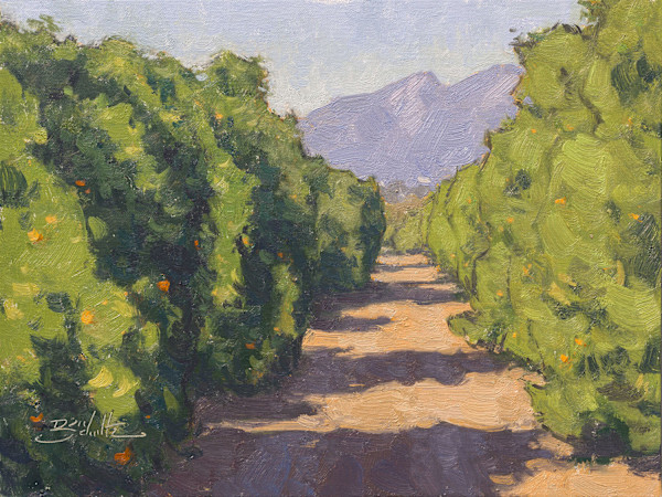 "Orchard Sunshine" by Dan Schultz, Image 1.