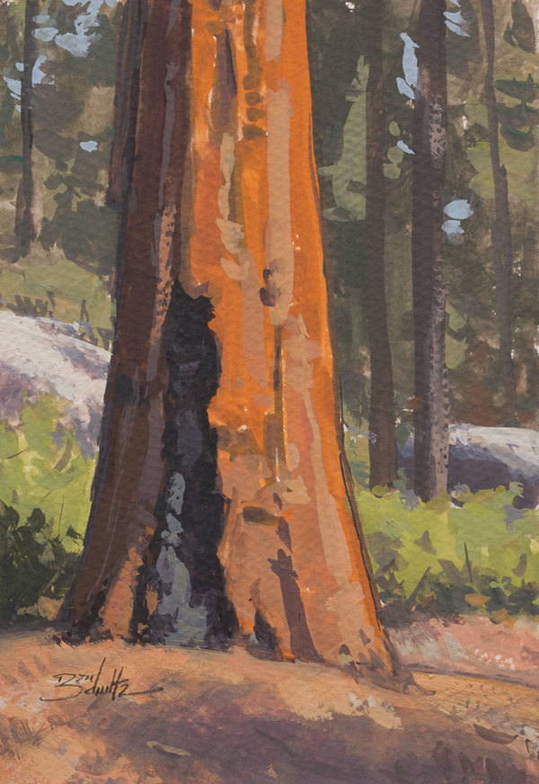 “Giant Sequoia” by Dan Schultz