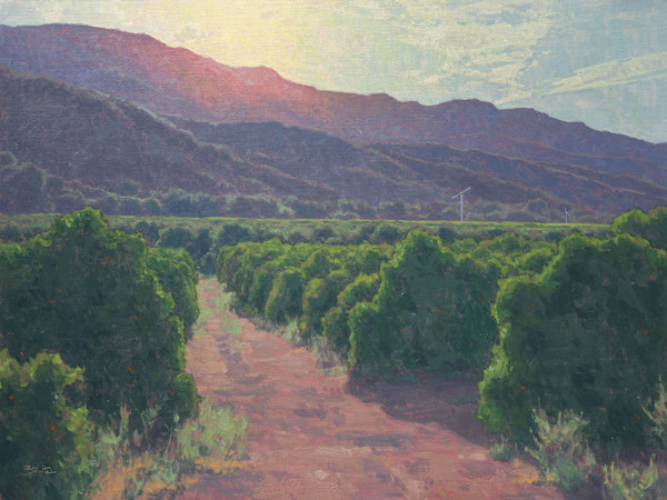 "Sunlit Orchards" by Dan Schultz