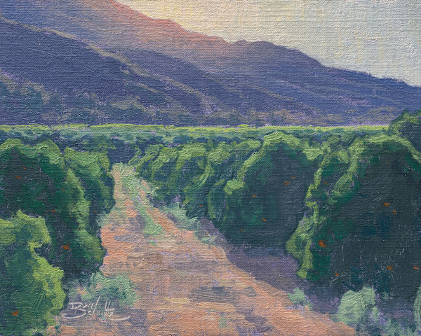 "Sunlit Orchards" by Dan Schultz