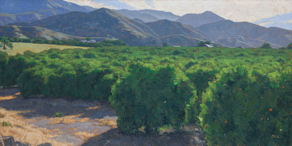 Topa Topa Ranch View by Dan Schultz