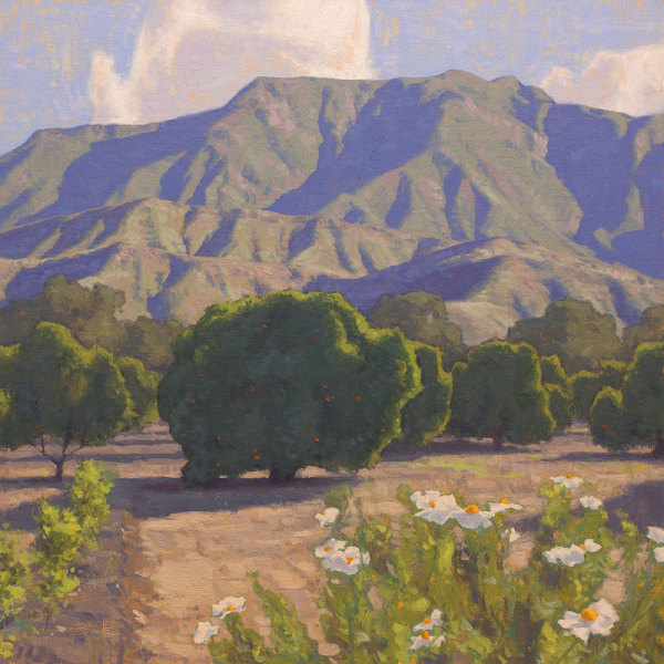 “Poppies and Orange Trees” by Dan Schultz