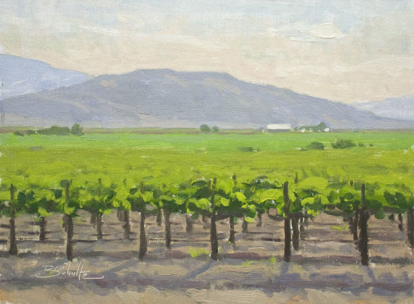 “Valley Vineyard” by Dan Schultz