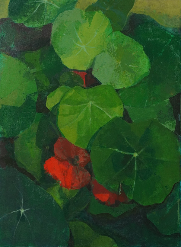 Nastursium by Amy Scherer, Image 5.