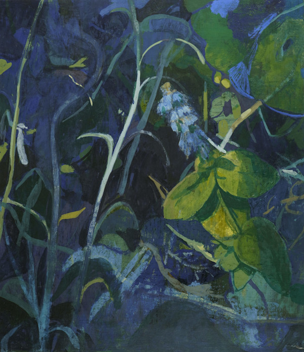 Morning Light by Amy Scherer, Image 1.