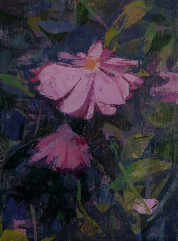 Two (more) Pink Flowers by amy scherer