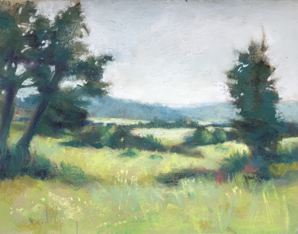 Across the Green Fields by Judy Albright