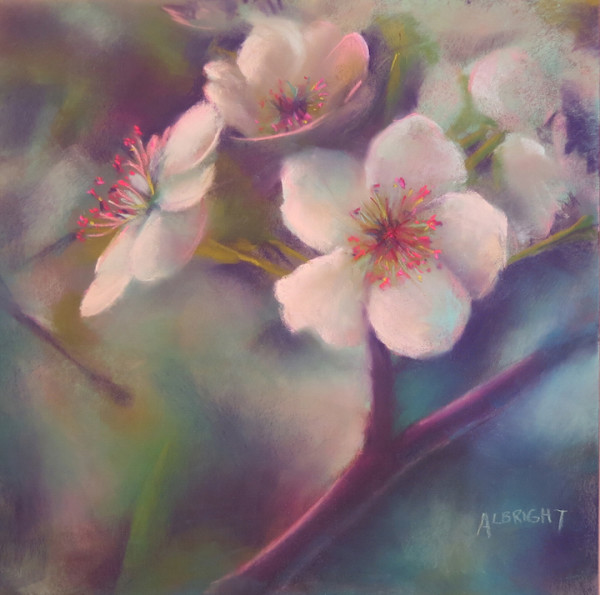 Blossoms on Main Street by Judy Albright