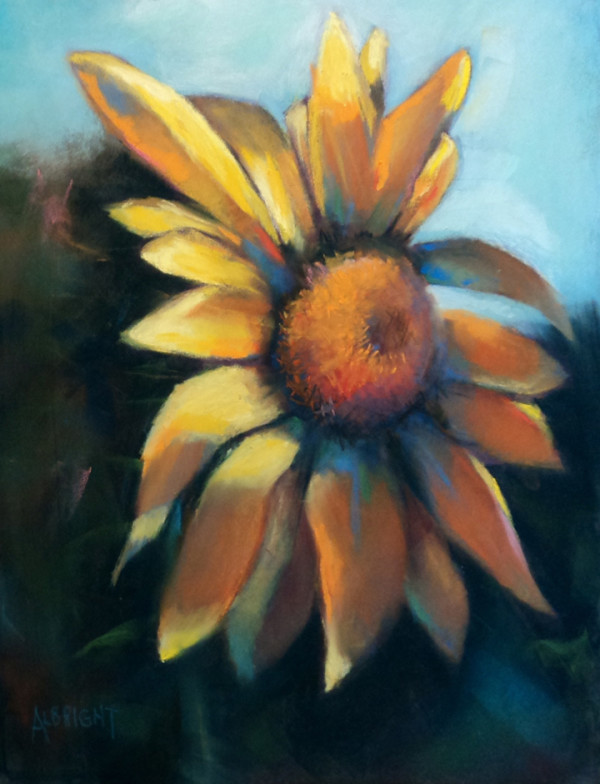 Catching the Sun by Judy Albright