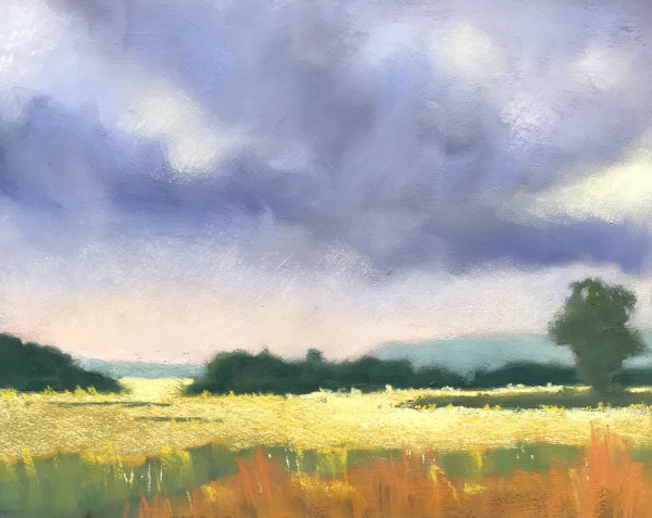 Golden Fields and Green Mountains by Judy Albright