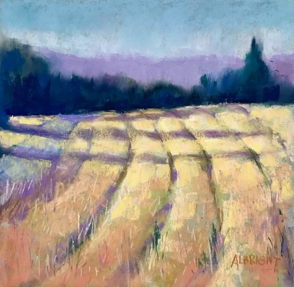 Field Work by Judy Albright