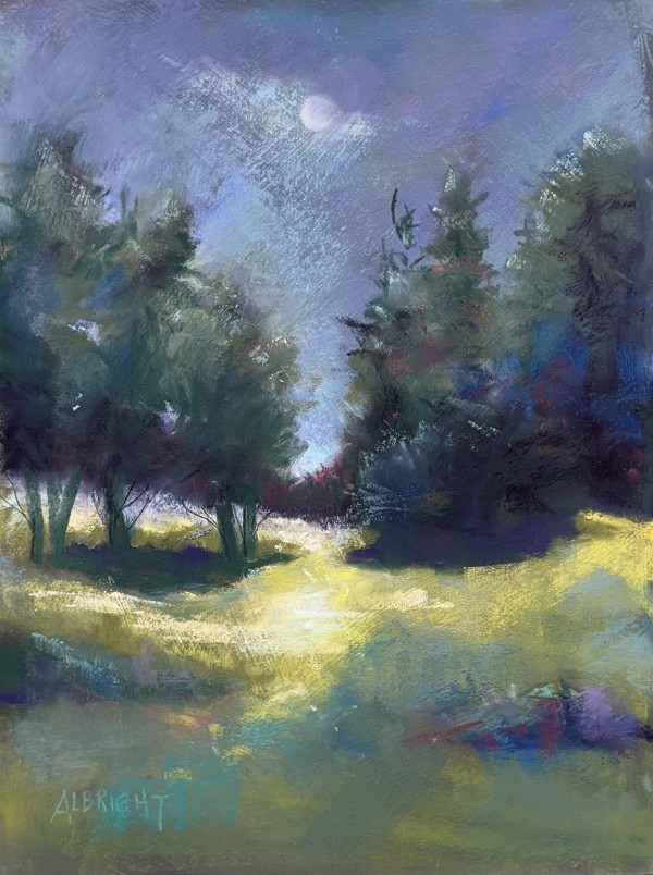 A Candle of Moonlight by Judy Albright