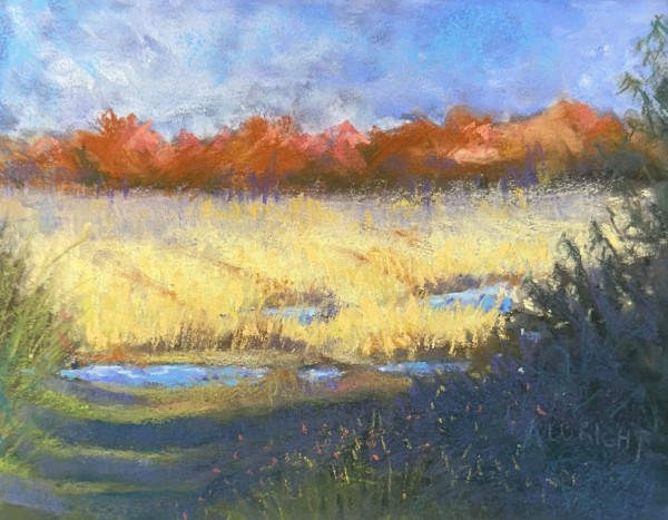Puddles by Judy Albright
