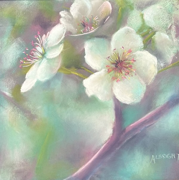 Blossoms on Main Street by Judy Albright