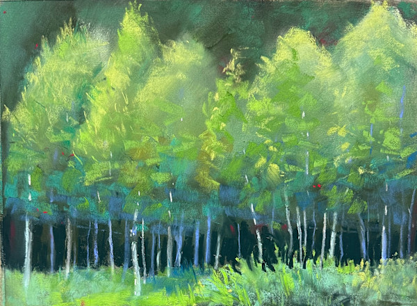 Forest Reverie by Judy Albright