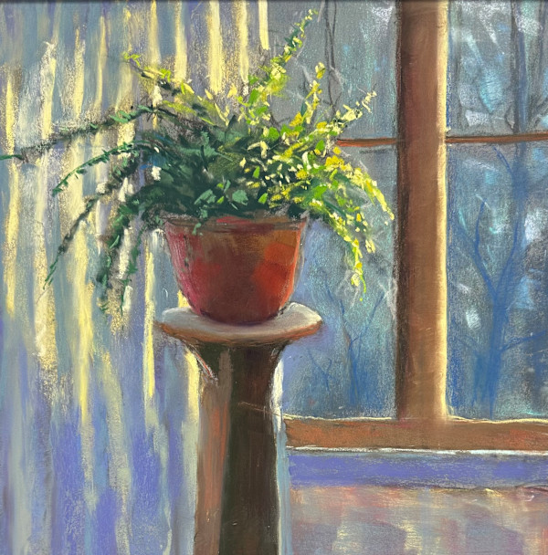 Morning Sun by Judy Albright