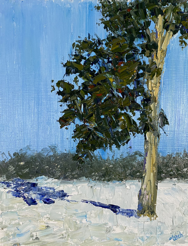 Ice Cold Cedar by Jay Holobach