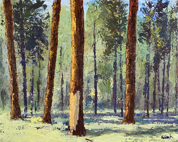 Ponderosa Pines by Jay Holobach