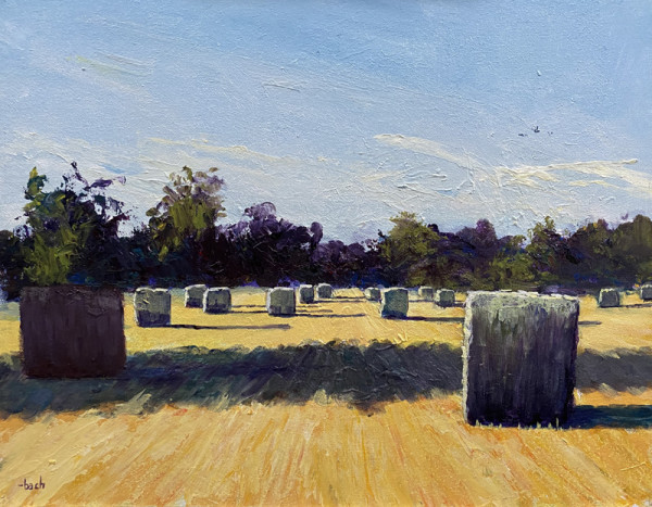 Shadow Bales by Jay Holobach