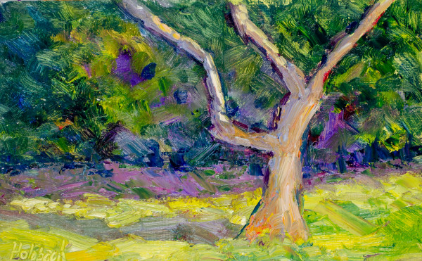 Uncommon Tree by Jay Holobach