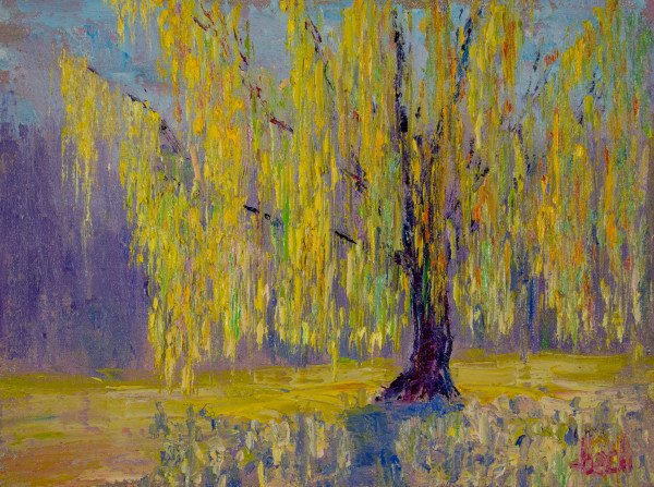 Willow Or Wont by Jay Holobach