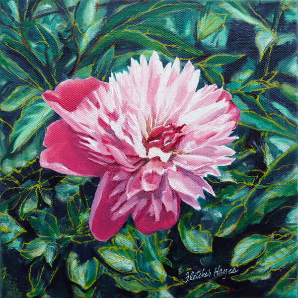 First Peony by Fletcher Hayes