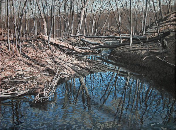 Fallen Trees by Fletcher Hayes