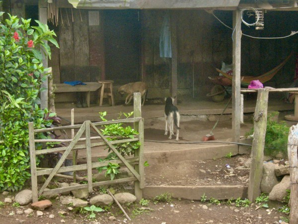 Morning Porch – San Juan de Limay, Nicaragua by Cinder Hypki