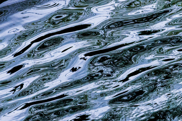 Nature's Art by Ellen Zimmerman