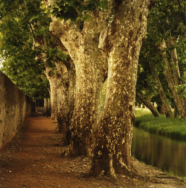 Along A Stream, Carcassonne by Hugh Martin