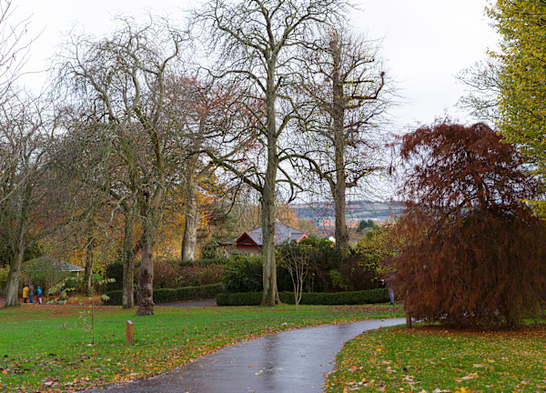 Botanic Gardens 4, Belfast by Hugh Martin, Image 3.