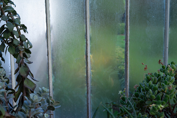 Botanic Gardens 7, Belfast by Hugh Martin