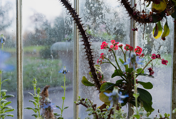 Botanic Gardens 9, Belfast by Hugh Martin