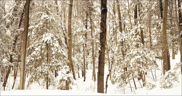 February Afternoon, Silent Lake by Hugh Martin