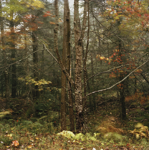High Winds, Silent Lake:  Autumn by Hugh Martin