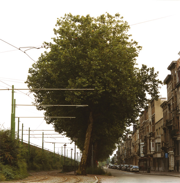 Parallel Routes, Antwerpen by Hugh Martin
