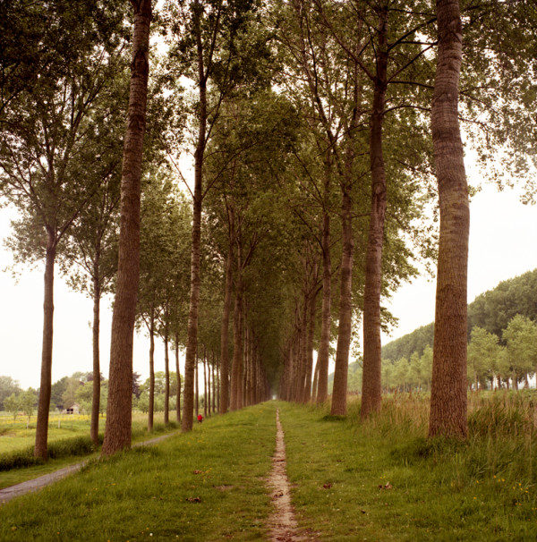 Pathways, Brugge by Hugh Martin