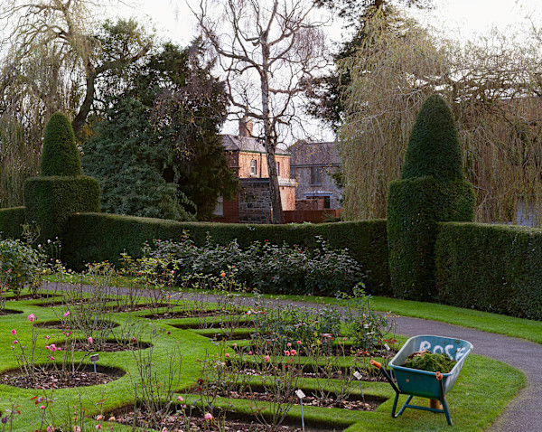 Rose Garden, Dublin by Hugh Martin