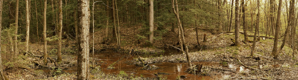 Spring Landscape, Silent Lake