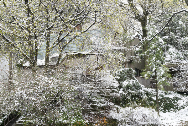 Spring Snowfall #1, Hamilton by Hugh Martin